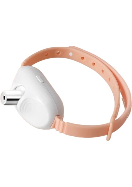 Kedi̇ Teaser Oyuncaği (Yurt Dışından)