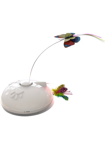 Kızılötesi Lazer Kedi Teaser (Yurt Dışından)