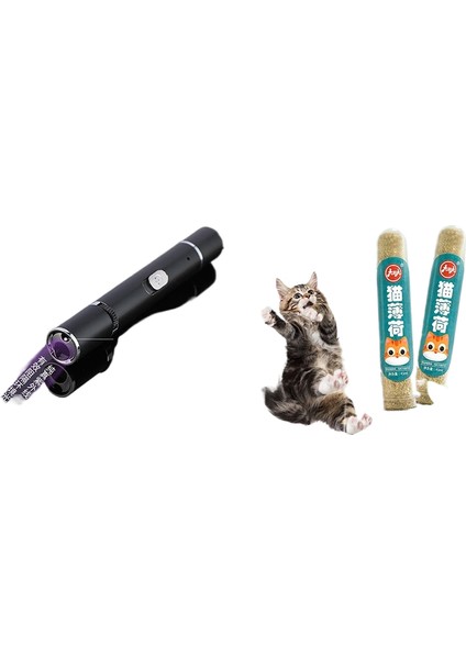 Kızılötesi Lazer Kedi Teaser (Yurt Dışından)