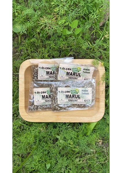 Kıvırcık Marul Tohumu