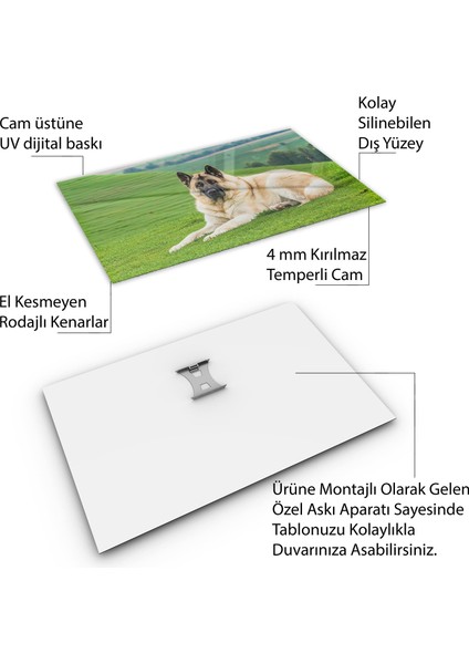 Türkiye Manzara Cam Tablo - Karışık - Yatay Motif 01-036