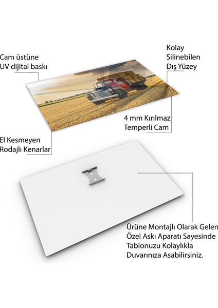 Arabalar Cam Tablo - Klasik Arabalar - Yatay Motif 02-004