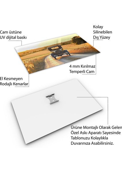 Arabalar Cam Tablo - Klasik Arabalar - Yatay Motif 02-019