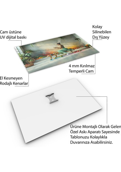 Mesleki Cam Tablo - Doktor - Yatay Motif 05-146