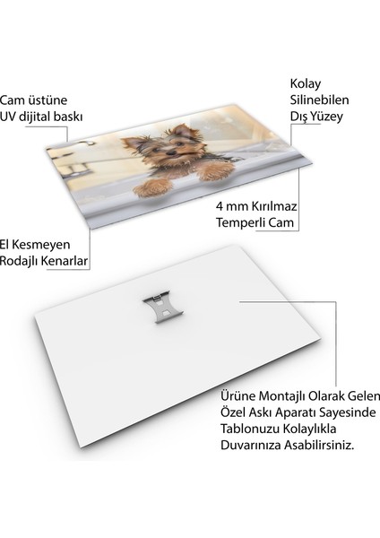 Hayvan Cam Tablo - Sevimli Dostlar Banyoda - Yatay Motif 02-036