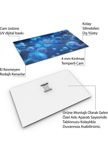 Mesleki Cam Tablo - Doktor - Yatay Motif 05-006