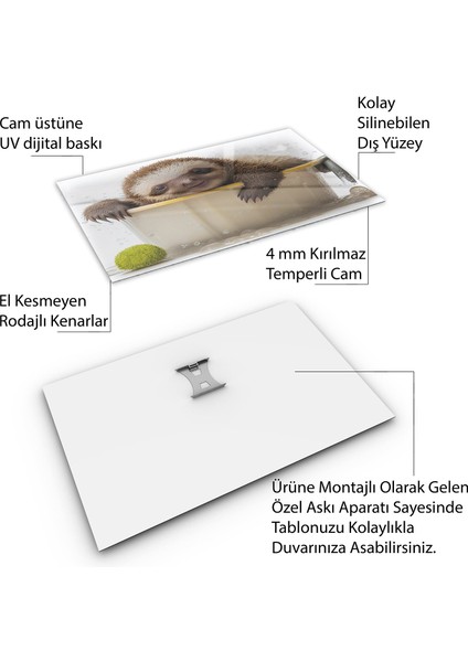 Hayvan Cam Tablo - Sevimli Dostlar Banyoda - Yatay Motif 02-015