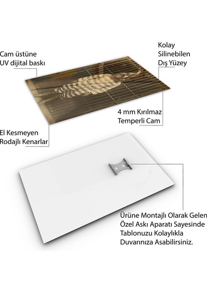 Hayvan Cam Tablo - Sevimli Dostlar Hapishanede - Dikey Motif 05-014