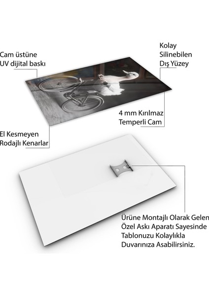 Hayvan Cam Tablo - Sevimli Dostlar Bisikletle - Dikey Motif 10-012