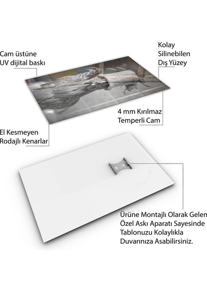 Hayvan Cam Tablo - Sevimli Dostlar Tuvalet Kağıdı - Dikey Motif 12-006