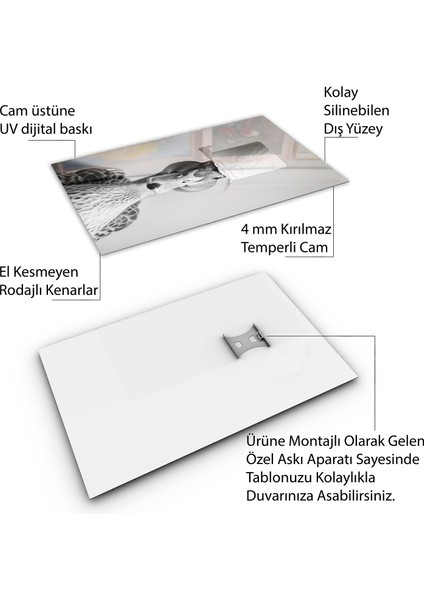 Hayvan Cam Tablo - Sevimli Dostlar Tuvalet Kağıdı - Dikey Motif 12-010