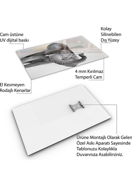 Hayvan Cam Tablo - Sevimli Dostlar Tuvalet Kağıdı - Dikey Motif 12-011