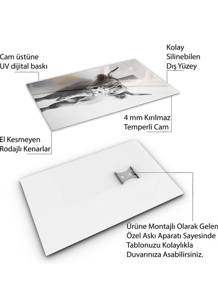 Hayvan Cam Tablo - Sevimli Dostlar Tuvalet Kağıdı - Dikey Motif 12-016