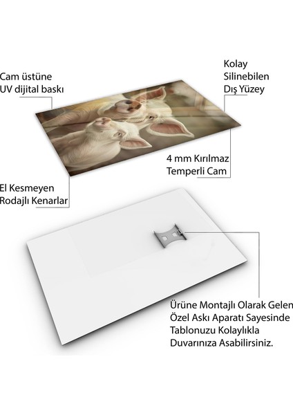 Hayvan Cam Tablo - Anne ve Yavru - Dikey Motif 14-045