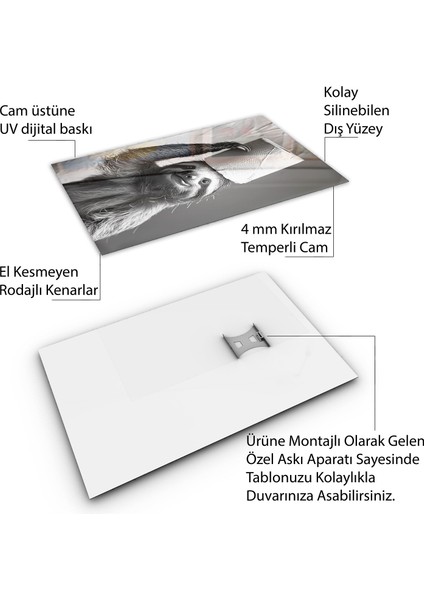 Hayvan Cam Tablo - Sevimli Dostlar Tuvalet Kağıdı - Dikey Motif 12-029