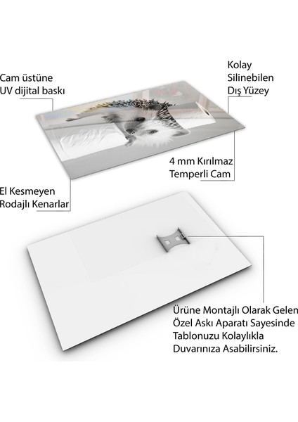 Hayvan Cam Tablo - Sevimli Dostlar Tuvalet Kağıdı - Dikey Motif 12-015