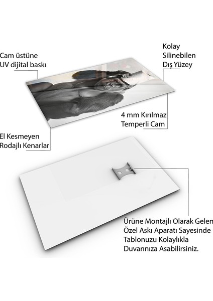 Hayvan Cam Tablo - Sevimli Dostlar Tuvalet Kağıdı - Dikey Motif 12-014