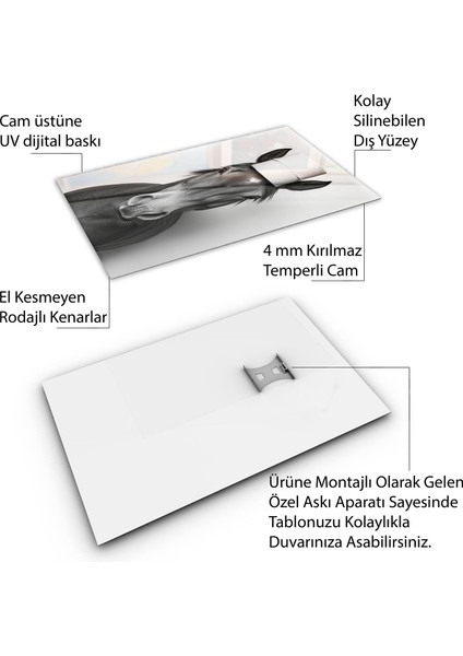 Hayvan Cam Tablo - Sevimli Dostlar Tuvalet Kağıdı - Dikey Motif 12-018