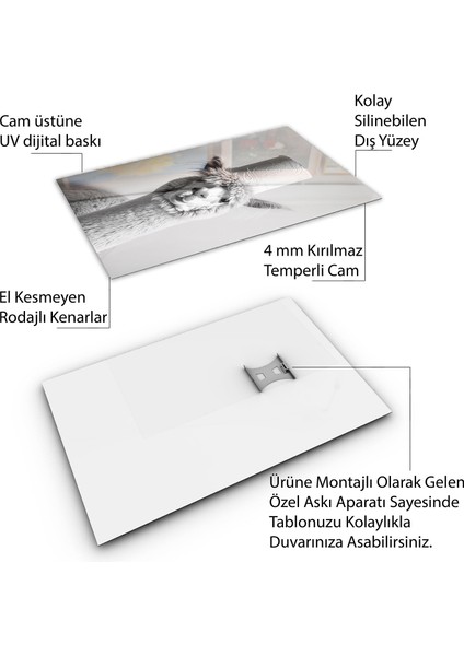 Hayvan Cam Tablo - Sevimli Dostlar Tuvalet Kağıdı - Dikey Motif 12-001