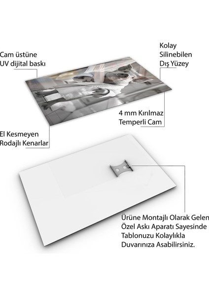 Hayvan Cam Tablo - Bornozlu Sevimli Dostlar - Dikey Motif 03-031