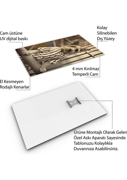 Hayvan Cam Tablo - Sevimli Dostlar Hapishanede - Dikey Motif 05-026