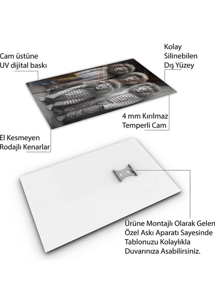 Hayvan Cam Tablo - Sevimli Dostlar Hapishanede - Dikey Motif 05-055