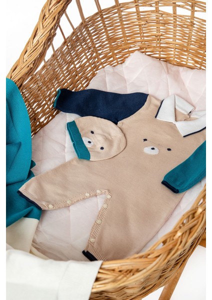 Ayıcıklı Erkek Battaniye fiyatları