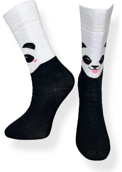 Tekli Panda Desenli Siyah Renkli Esnek Nem Alabilen Pamuklu Çorap