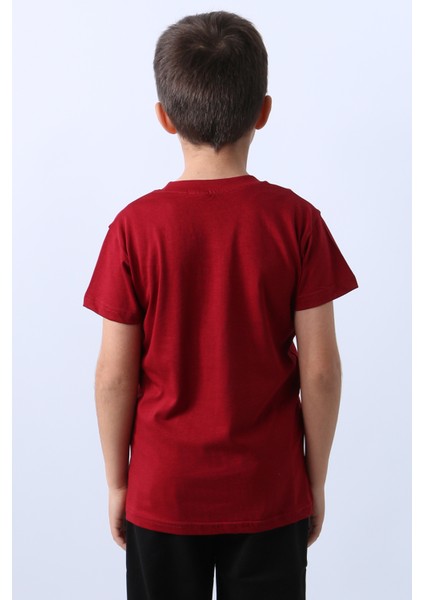 Erkek Çocuk Tshirt Lion Baskılı Bisiklet Yaka E36 fırsatları