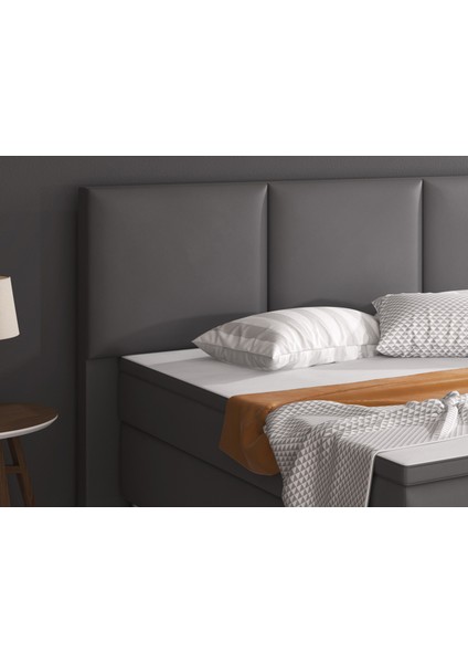 Oslo Suni Deri 3 Lü Set (YATAK+BAZA+BAŞLIK)160 x 200