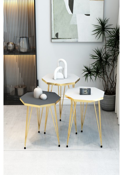 3'lü Sekizgen Zigon Sehpa Seti - Gold Metal Ayaklı, Modern & Şık Yan Sehpa, Dayanıklı Salon Ofis