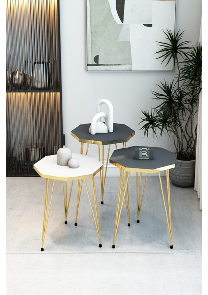 3'lü Sekizgen Zigon Sehpa Seti - Gold Metal Ayaklı, Modern & Şık Yan Sehpa, Dayanıklı Salon Ofis