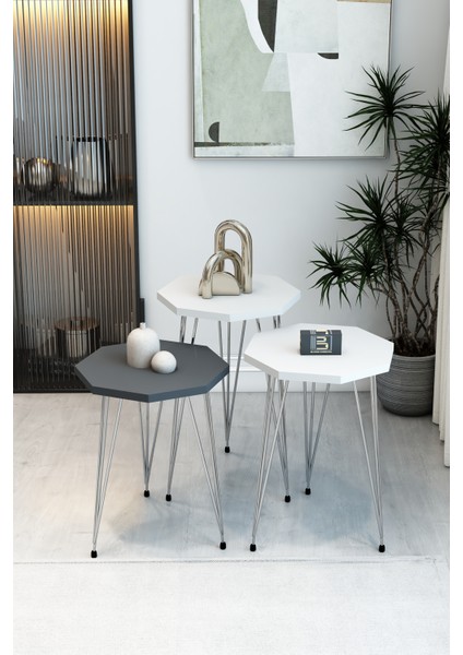3'lü Sekizgen Zigon Sehpa Seti - Gümüş Metal Ayaklı, Modern & Şık Yan Sehpa, Dayanıklı Salon Ofis
