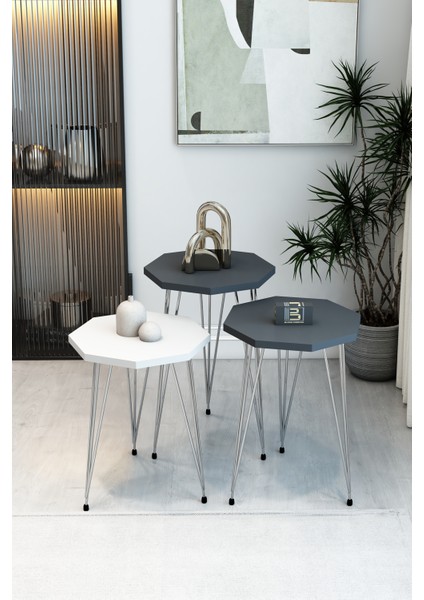3'lü Sekizgen Zigon Sehpa Seti - Gümüş Metal Ayaklı, Modern & Şık Yan Sehpa, Dayanıklı Salon Ofis