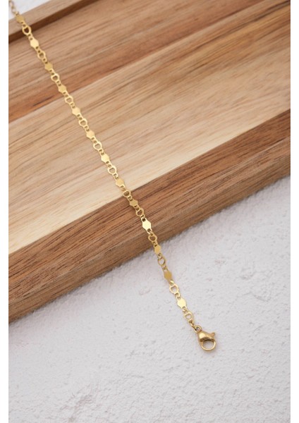 Çelik Ince Pullu Plaka Zincir Halhal Minimal Altıgen Kalpli Zincir Kararmaz 22+4cm 3mm fiyatları