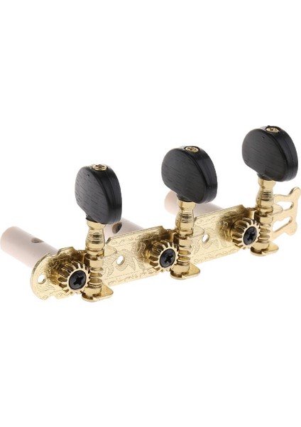 Akustik Elektro Için 3r+3l Pegs Ine Kapsamları (Yurt Dışından) fırsatları