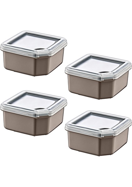 4'lü Q-Box Saklama Kabı Terra 350 ml