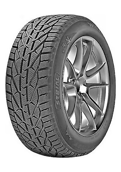 Winter 205/55R17 95V Xl (Kış) (2024)