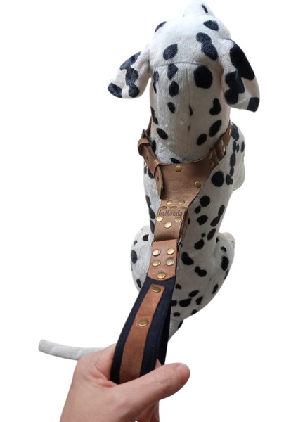 Köpek Boyun Tasması Hakiki Deri Yakın Mesafe Kontrollü Boyun Ölçüsü: 40-60cm Ayarlı Dog Collar T2-3