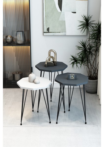 3'lü Sekizgen Zigon Sehpa Seti - Siyah Metal Ayaklı, Modern & Şık Yan Sehpa, Dayanıklı Salon Ofis