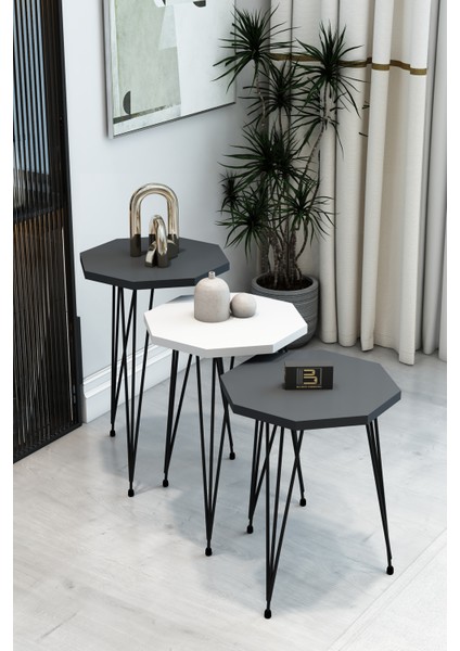 3'lü Sekizgen Zigon Sehpa Seti - Siyah Metal Ayaklı, Modern & Şık Yan Sehpa, Dayanıklı Salon Ofis