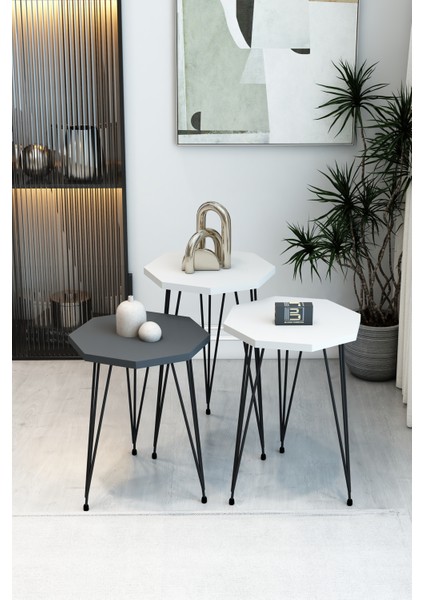 3'lü Sekizgen Zigon Sehpa Seti - Siyah Metal Ayaklı, Modern & Şık Yan Sehpa, Dayanıklı Salon Ofis