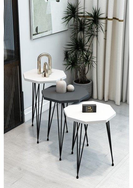 3'lü Sekizgen Zigon Sehpa Seti - Siyah Metal Ayaklı, Modern & Şık Yan Sehpa, Dayanıklı Salon Ofis fiyatları