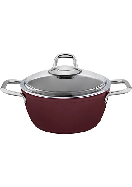 Bıcoat Derin Tencere No:20 Purple