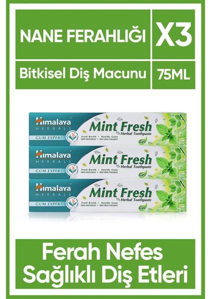 Mint Fresh Ferahlatıcı Diş Macunu, Bitkisel, Vejetaryen, Florürsüz, Parabensiz, 75 ml 3 Adet