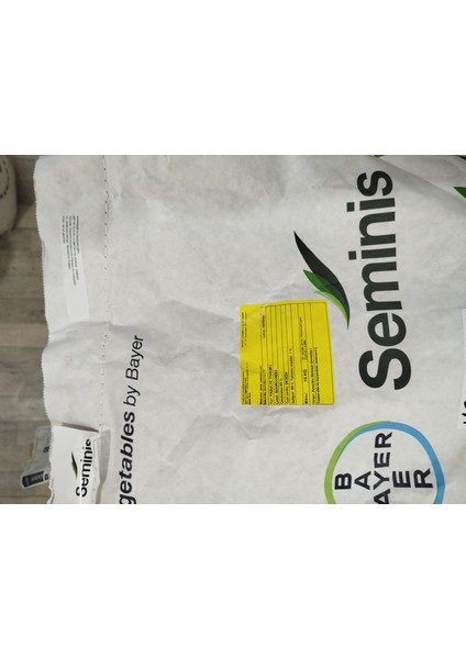 Bourgondia Oturak Taze Fasülye Tohumu 1 kg