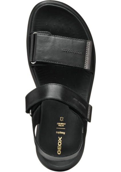 Kadın Siyah D Xand 2s E - Smo. Lea + Pear Bantlı Deri Sandalet D45PAE043AJC9B1G indirimleri