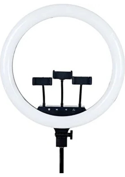 Rl-21 Ringlight 21 Inç LED Işık