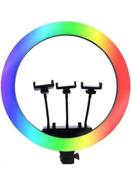 MJ56 Ringlight 22 Inç LED Işık