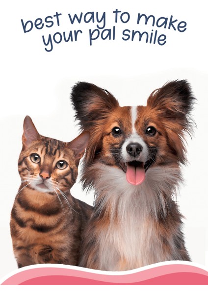 Kedi ve Köpekler Için Super Premium Takviye Gıda %100 Doğal Kuzu Ciğeri